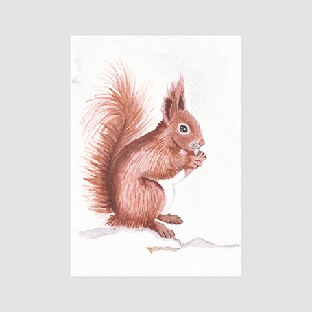 Aquarell-Illustration Eichhörnchen